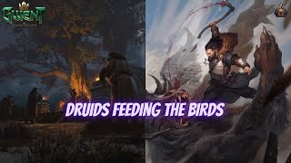 GWENT | Skellige Druids, Birds, And The Warrior