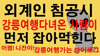 강릉여행가는브이로그/가짜뉴스영상아님/외계인에게잡혀가는브이로그아님