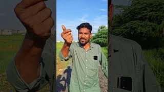 వీడియో చివరి వరకు చూడండి..#shorts #trending #viralvideo