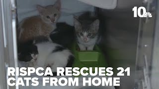 Rhode Island SPCA rescues more than 20 cats from Tiverton home