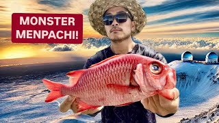 BIG ISLAND! Massive Menpachi and Mauna Kea Snow | HAWAII CATCH COOK CREATE