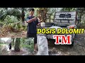 || APLIKASI DOLOMIT UNTUK KELAPA SAWIT TM (UMUR 9 - 15 TAHUN) || DOSIS DAN TEKNIS APLIKASI ||