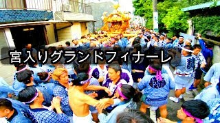 30年    　北澤八幡神社　例大祭　本社神輿グランドフィナーレです迫力動画。