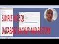 Simple MS SQL database backup and restore tutorial