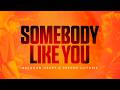 Brennan Heart & Trevor Guthrie - Somebody Like You [Official Video]