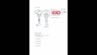 視床下部の機能は？【看護師国家試験】