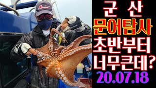 [훅킹TV] 군산문어탐사/초보문어낚시/선상낚시 꿀팁.