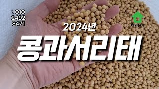 2024년 햇콩 및 서리태 판매 #메주콩 #백태 #서리태 #검정콩 #콩판매 #콩구매