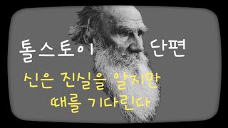 톨스토이 단편 - 신은 진실을 알지만 때를 기다린다