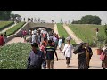 raj ghat gandhi memorial and eternal flame in delhi 4k