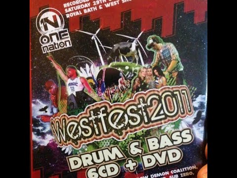 DJ HAZARD & MC SKIBADEE - WESTFEST 2011 - D&B - YouTube