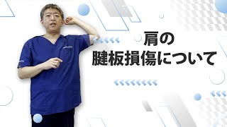 肩の痛みの原因で多い腱板損傷について（けんばんそんしょう）【お茶の水セルクリニック】