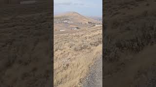 Badger Mountain Adventure Hard Hike Spectacular Scenery #trending #shorts #shortvideo