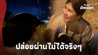 สาวตั้งใจ พาครอบครัวไปดูพลุปีใหม่ เจอหมาวิ่งตัวสั่นกลางทาง รู้กลัวอะไรมาปล่อยผ่านไม่ได้จริงๆ-42-PP