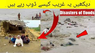 Pakistan floods | breaking news | news | breaking news