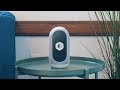 Mycroft Mark II The Open Voice Assistant New Technology Tech World