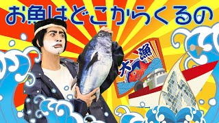 お魚はどこからくるの？ぽかぽか保育園食育プログラム