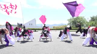 はっぴぃずさん　第５回　情熱よさこい祭inしらさぎ 東西踊り合戦 2013