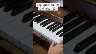 쇼팽에튀드 10번-1번 승리 연습 1일차 (피드백좀🙏)