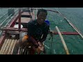 ep469 malaking colambotan paalis na napana ko pa.day spearfishing philippines