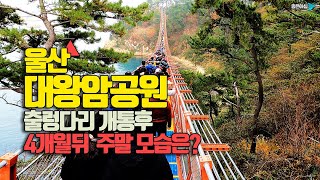 울산 대왕암공원 출렁다리개통후 4개월뒤의 모습은? / 울산여행