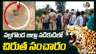 Leopard Halchal In Nalgonda District | నల్లగొండ జిల్లా నడికుడిలో చిరుత సంచారం | 10Tv