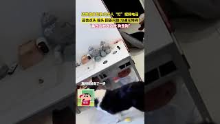 边牧独自在家给主人“打”视频电话，还会点头，摇头回答问题，沟通全程无障碍！ 网友：“果然边牧是边牧，狗是狗” #边牧