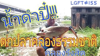 ตกปลาคลองธรรมชาติ ในวันที่น้ำดำปี๋ คลองรังสิต LGFT#155