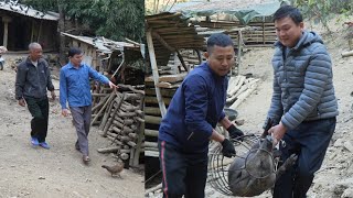 Robert sold a lot of pigs to prepare for the wedding. Green forest life