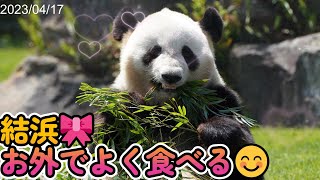 【結浜】お外ではよく食べる結浜🎀今年の夏は眠り姫で行くのかな？😁【パンダ】 #2023 panda