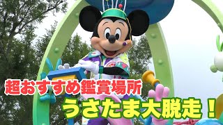 【4K画質】うさたま大脱走！2022（東京ディズニーランド）