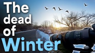 Brisk Bird Photography in the Dead of Winter! | POV Bird Photography | Birds with Beau