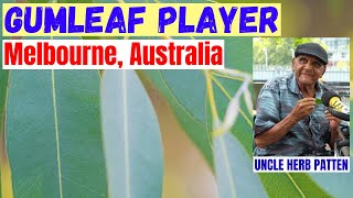 Meet Uncle Herb: The Legendary Gum Leaf Player from Melbourne !