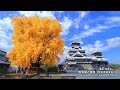 絶景九州 2022年11月放送「紅葉の絶景」