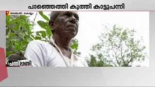 കാട്ടുപന്നിയാക്രമണ ഭീതിയിൽ അ‍ഞ്ചൽ നിവാസികൾ; വയോധികന്‍ രക്ഷപ്പെട്ടത് തലനാരിഴയ്ക്ക്