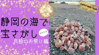 大漁すぎる‼︎貝殻のお祭り♡♡年始から縁起良すぎるビーチコーミング(^^)その26