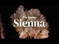 The Marías - Sienna | Lyrics