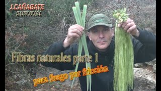 Natural fibers for friction fire. Part 1