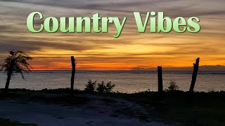 Country Music Playlist for Those Who Want to Chill Now! 🤠🎵