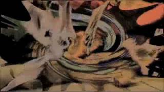 SICKNOTE - WRONG (flapsandwich over the edge re-rub)