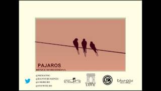 Bussines x MI$TER.B Pajaros (Birds) 2014