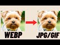 How to change WEBP files to JPG or GIF