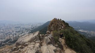 紅梅谷, 望夫石, 獅紅古道, 九龍坳回歸亭, 獅子山, 沙田坳道, 黃大仙@【平遊山野】香港行山 1.1.2025 (翠綠隊/自由行)