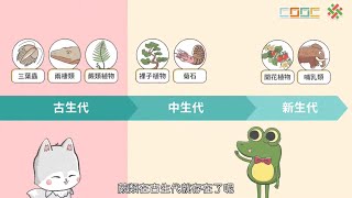 108新課綱｜七下生物｜【觀念】植物界－蕨類植物