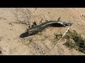 snakehead. Рыбалка на змееголова. Капчагай Казахстан.