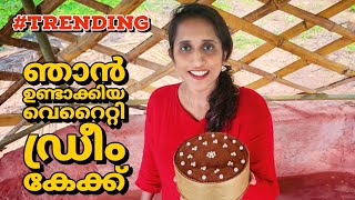 വെറൈറ്റി ഡ്രീം കേക്ക് വീട്ടിൽ ഉണ്ടാക്കാം /Dream Cake Recipe Malayalam /Trending 5 in 1 torte cake