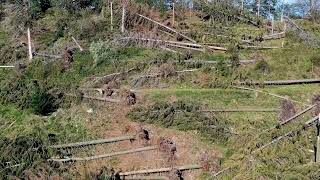 La tempesta di vento che ha sconvolto il Campo dei Fiori a Varese