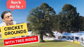 International Cricket Stadiums with Tree inside || क्रिकेट मैदान जहाँ बाउंड्री के अंदर हैं पेड़