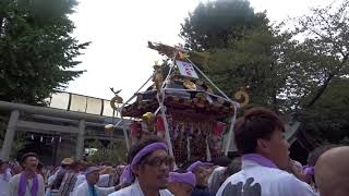 茅ヶ崎下赤羽根神明大神例大祭神輿戸御