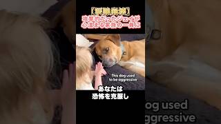 涙腺崩壊　攻撃的だった犬ジェイが心温まる家族の一員に